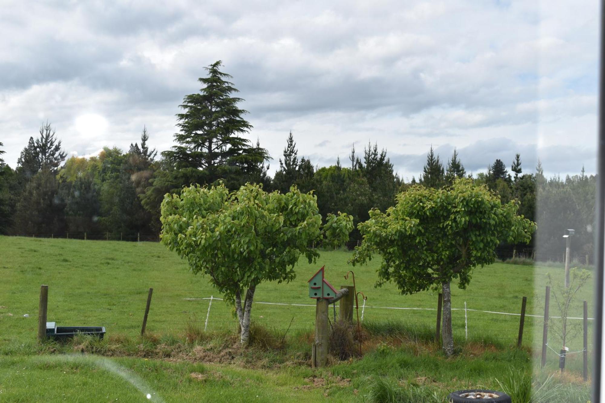 Bnb On Bakers Waimate Exterior foto